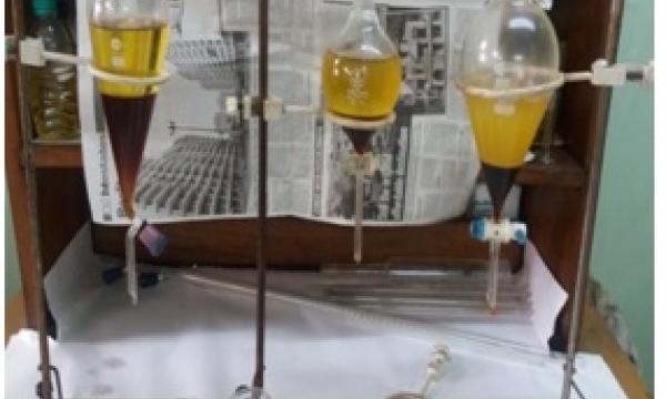 Production of Biodiesel from Tung Seed in North-East India (Phase-I)