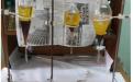 Production of Biodiesel from Tung Seed in North-East India (Phase-I)