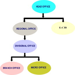 Organisation Data