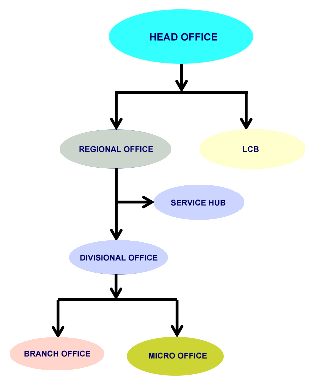 Organisation Data